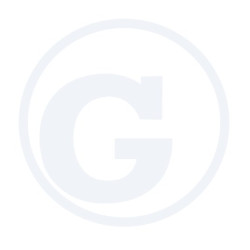 Potencjometr F246860100040 Fendt