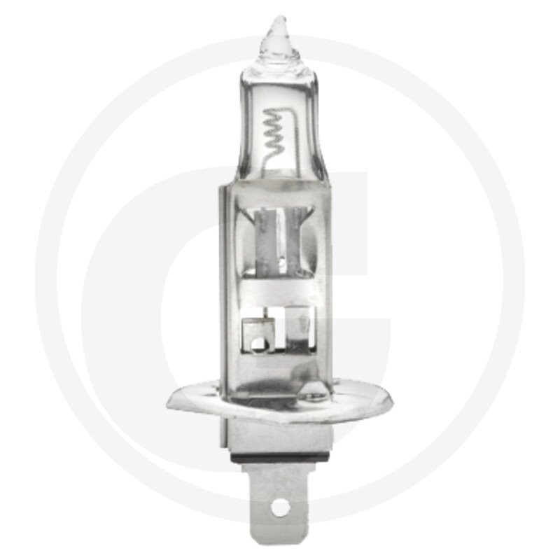HELLA Żarówka, H1, 24 V, 70 W 