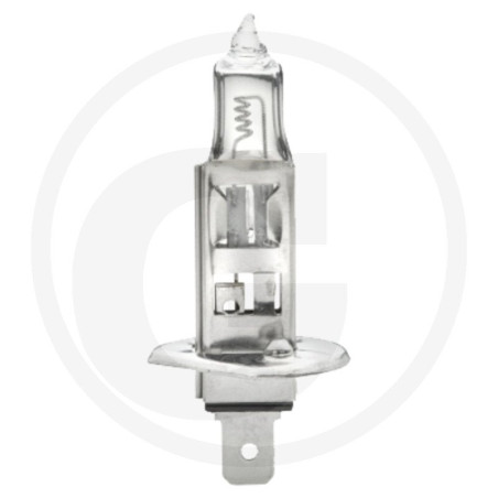 HELLA Żarówka, H1, 24 V, 70 W 