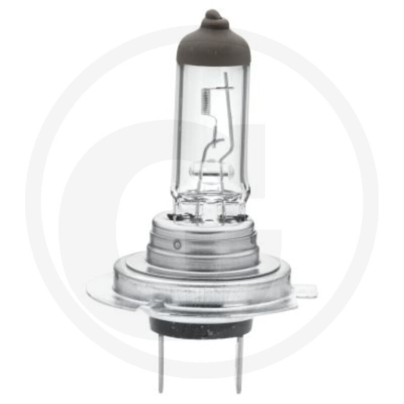 HELLA Gluehlampe H7 