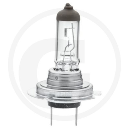 HELLA Gluehlampe H7 