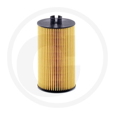 MANN FILTER Filtr oleju silnikowego 