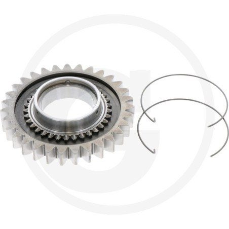 Stirnrad Z31 kpl. 