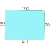 Szyba przednia 6005028930, 7700669189
