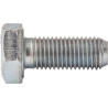 Screw
