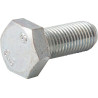 Screw