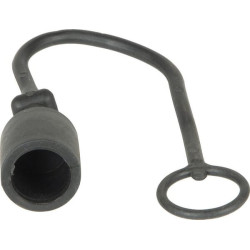 Dust cap plug