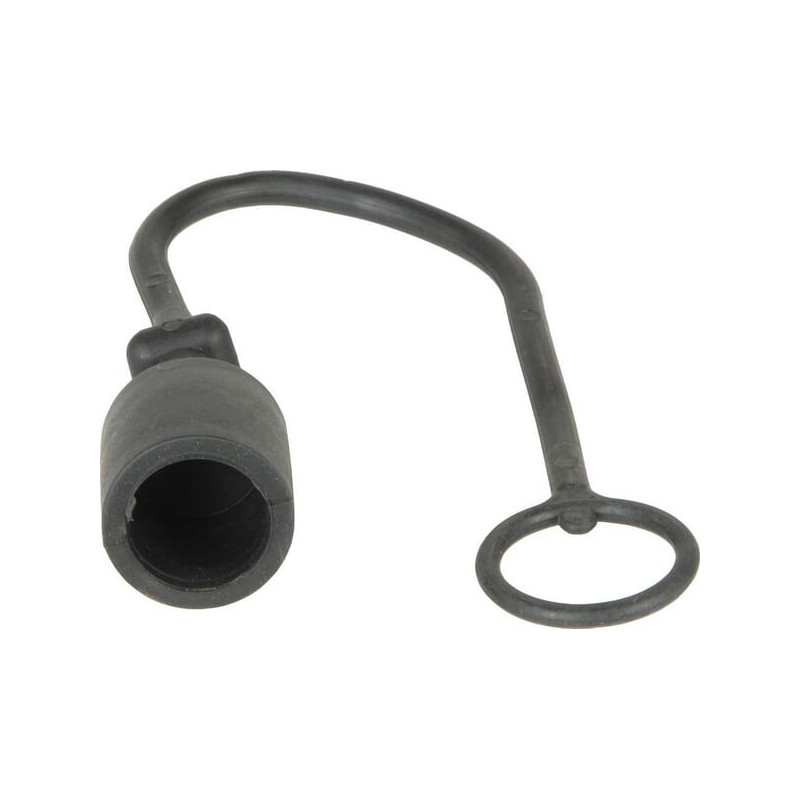 Dust cap plug