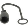 Dust cap plug