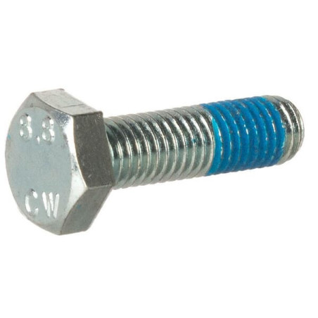 Screw
