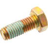 Screw
