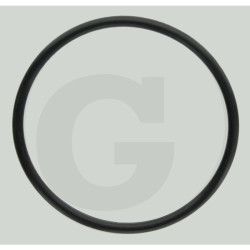 O-ring