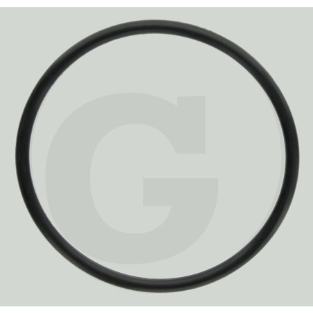 O-ring