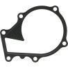 Kubota 1623973430 Uszczelka pompy wody