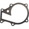 Kubota 1625173430 Uszczelka pompy wody