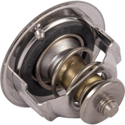 Kubota 1C01173013 Termostat