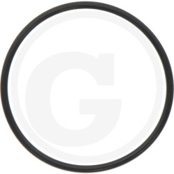 O-Ring 52,07X2,62