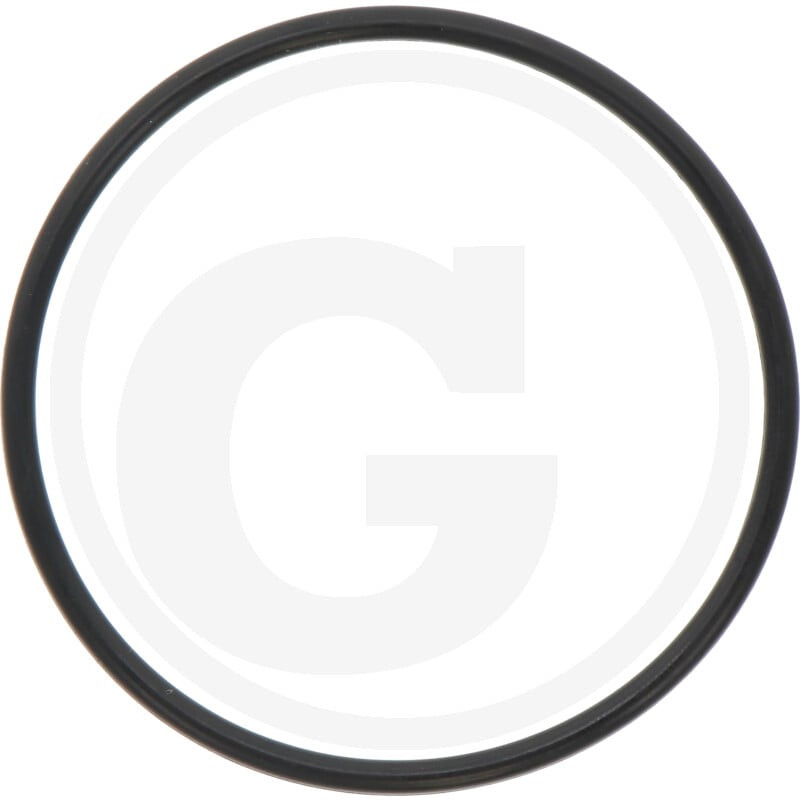 O-Ring 52,07X2,62