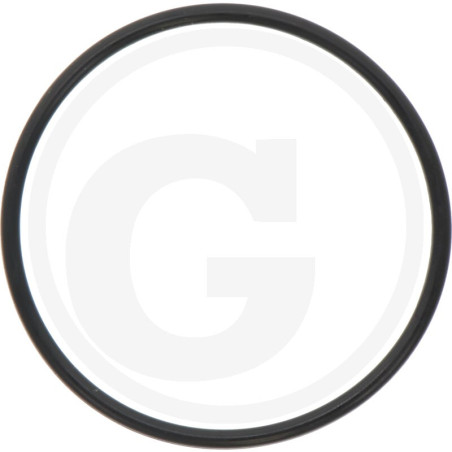 O-Ring 52,07X2,62