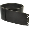 Pas 1655x120x5,3
