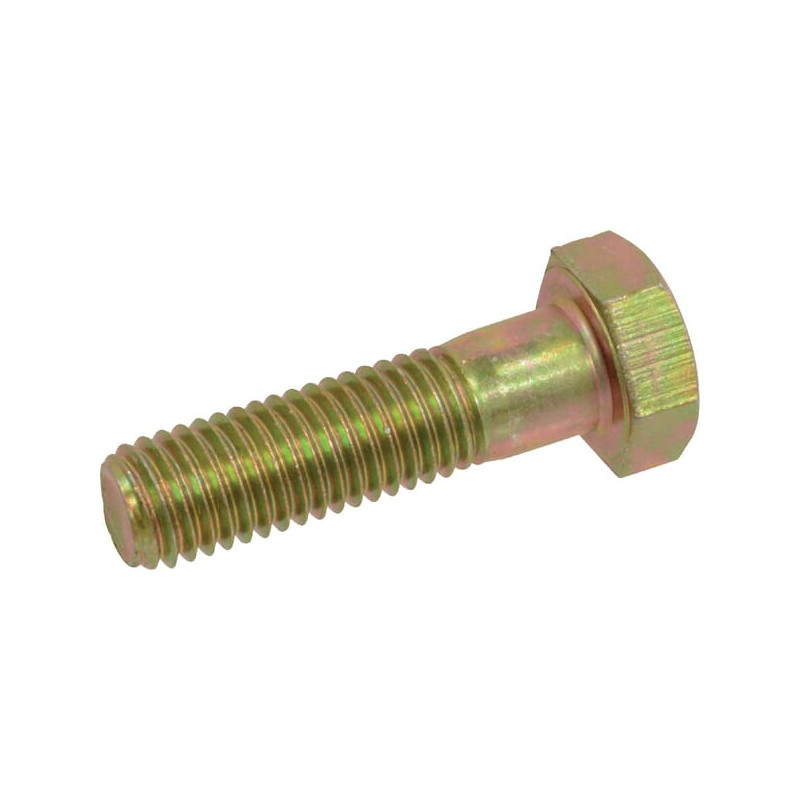 Śruba M12x45 mm Vicon