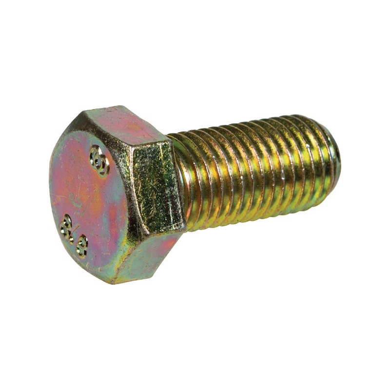 Śruba