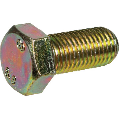 Śruba