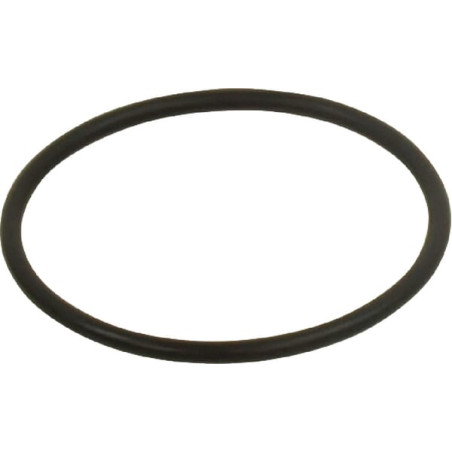Pierścień uszczelniający o-ring