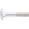Śruba z łbem walcowym M6x16 mm