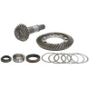 Carraro 064796 Zestaw naprawczy mechanizmu różnicowego