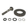 Carraro 066580 Zestaw koła talerzowego/koła wałka atakującego