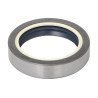 Carraro 831045 Zestaw naprawczy mechanizmu różnicowego