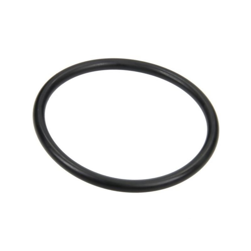 Pierścień samouszczelniający 6 G11034 Arag 8026834017580