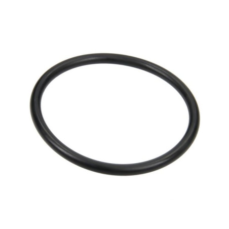 Pierścień samouszczelniający 6 G11034 Arag 8026834017580