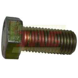 Śruba