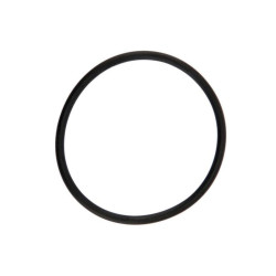 Oring 2,62X42,52 3168 EPDM 460000210 Arag 8026834099050