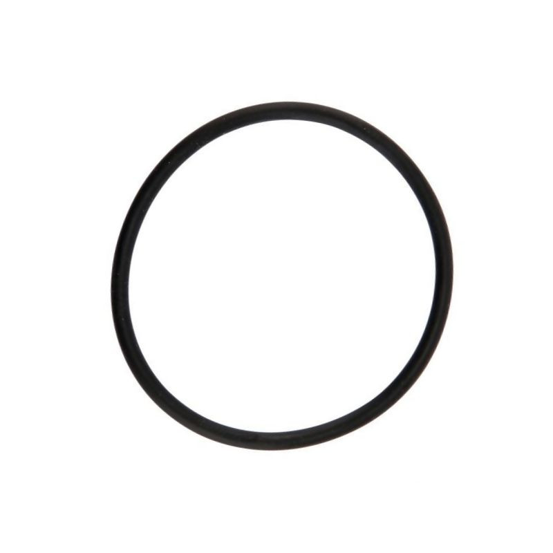 Oring 2,62X42,52 3168 EPDM 460000210 Arag 8026834099050