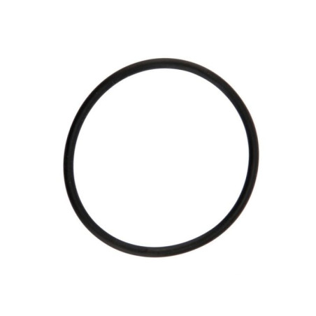 Oring 2,62X42,52 3168 EPDM 460000210 Arag 8026834099050