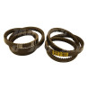 0172206 Pas Gates Agri 2 szt