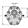 Pompa zębata Formula 30 Casappa, FP30.82D0-19T1-LGG/GF-N