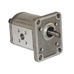 Silnik zębaty PLM10.2R0-81E1-LBA/BB-N-EL
