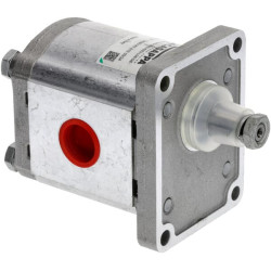 Silnik zębaty PLM20.20-R0-82E2-LGE
