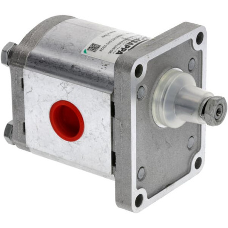 Silnik zębaty PLM20.20-R0-82E2-LGE