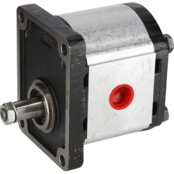 Silnik zębaty PLM30.27R0-83E3-LGE