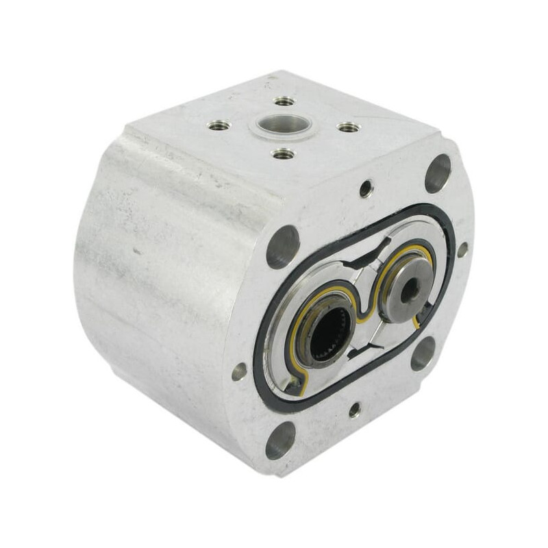 Element pompy PLP20.11,2D0-86-S6-LBE/BC-N-I-FS