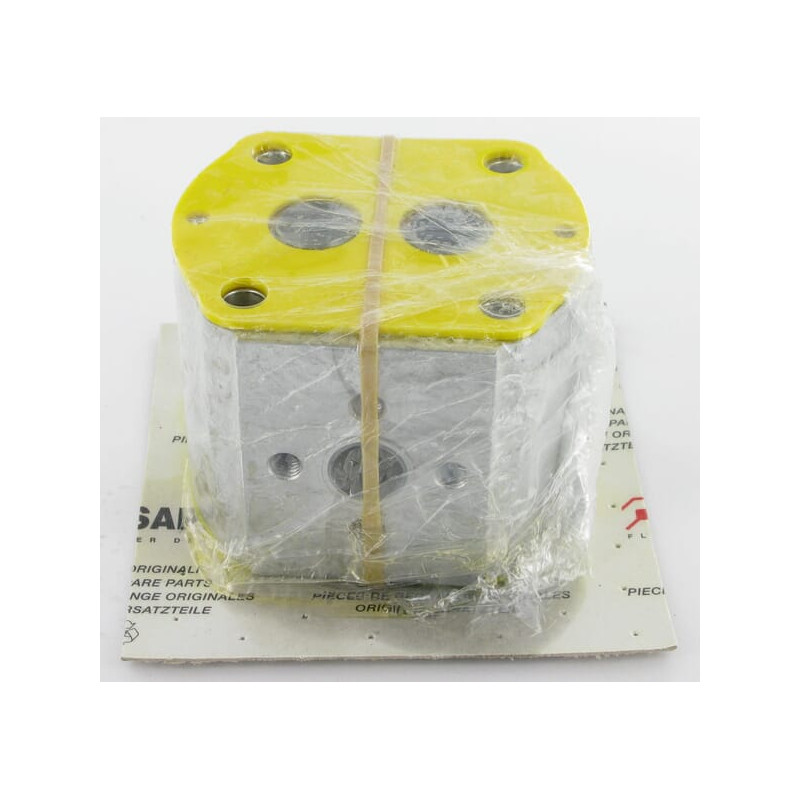 Element pompy PLP20.20-D0-86-S6-LEB/EA-N-I-FS