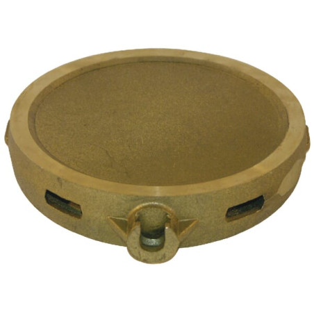 Płytka zawóru suwakowego 8" fi210 gr.41-20 mm MZ