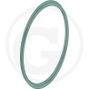 Oring