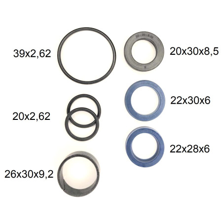 Zestaw uszczelek siłownika 0501 z tloczyskiem 20mm MZ