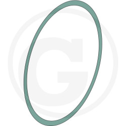 Oring 164,7x3,53 MZ